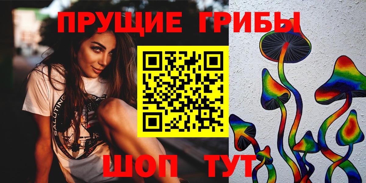 Псилоцибиновые грибы Cubensis Советск
