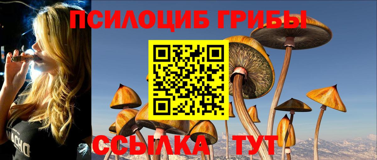 Псилоцибиновые грибы MAGIC MUSHROOMS  Псилоцибиновые грибы Magic Shrooms  Советск  Вход с VPN 